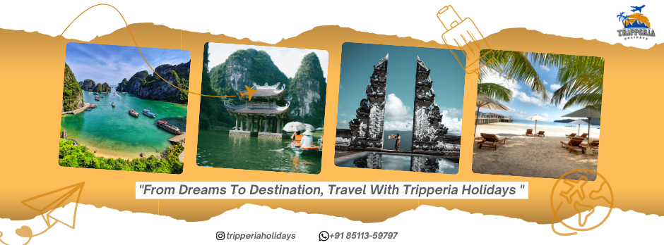 tripperia holidays